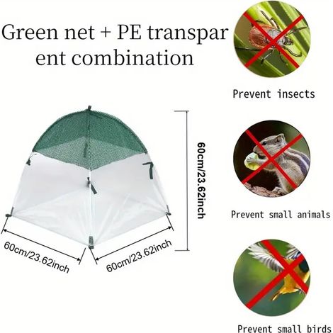 Housse de protection des plantes contre oiseaux et insectes, cloche anti-nuisibles pour fleurs et légumes, Composition : 1 pièce, matériau filet vert + PE, avec 4 piquets, Couleur : vert (1/5)