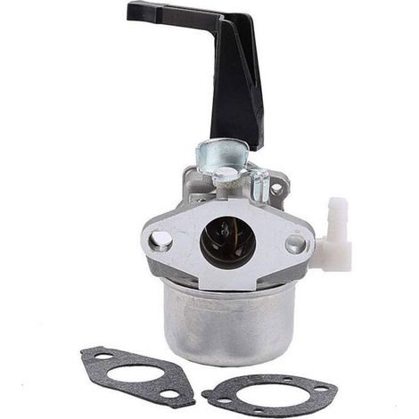 Briggs & Stratton 696065 Carburateur avec joint de montage (1/5)