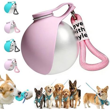 Gourde portable 2 en 1 pour chiens, gourde avec bol pliable, gourde en acier inoxydable anti-fuite de 285 ml avec bol en silicone, facile à transporter pour la randonnée et le camping (1/5)