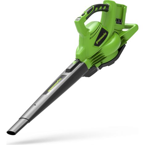 Greenworks Tools 01-000002405307 GD24X2BV Souffleurs, 48 V, Vert, Noir, Gris, 2 x 24V (48V) (1/5)