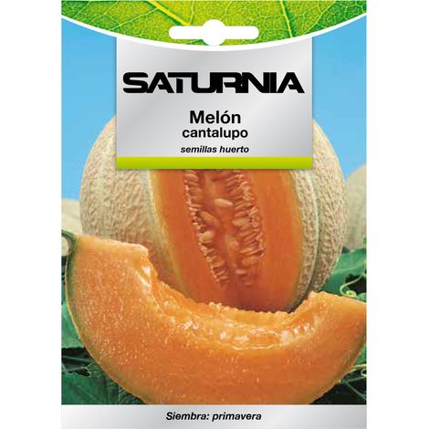 Cantaloupe-Melonensamen (3 Gramm) Obstsamen, Gartenbau, Gartenbau, Gartensamen. (1/2)