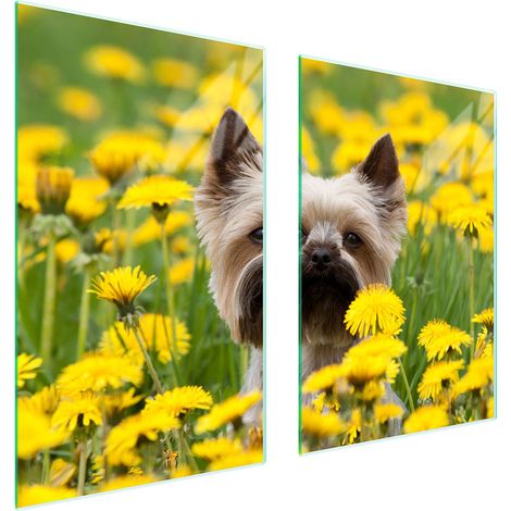 PLACA PROTECTORA DE VIDRIO PARA COCINA 65x52 PERRO (1/5)