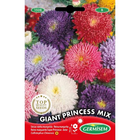 Graines Reine-marguerite Super Princesse GIANT PRINCESS MIX