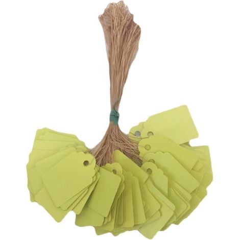 200pcs étiquettes de plantes PVC suspendu fleur graine nom étiquette étiquette marqueur marqueur signe extérieur maison cour identification pour Graine Tag Jardin Etiquettes Kit (jaune) (1/4)