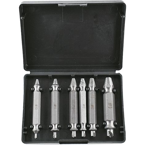 Kit d'extracteurs de vis à double tête 6 pièces - Extracteur de vis en acier au carbone argenté (1/5)