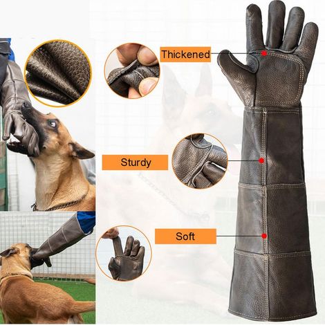 Bissfeste Handschuhe, 60 cm lange, kratzfeste Lederhandschuhe für den Umgang mit Katzen, Hunden, Vögeln, Schlangen, Eidechsen, Falken, zur Tierpflege und für Gartenarbeiten (1/5)