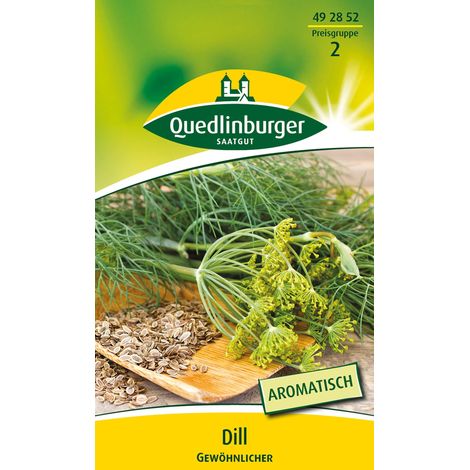 Quedlinburger Saatgut – Aneth commun – Graines d'herbes aromatiques, annuel, feuilles finement découpées, hauteur jusqu'à 100 cm (1/2)