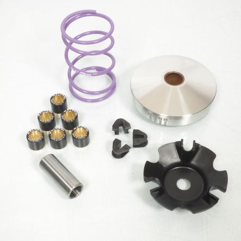 Variomatik Malossi für Roller Piaggio 100 Liberty 5112024 Neu (1/3)