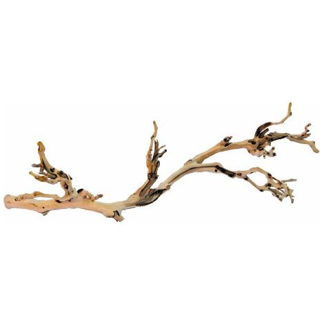 EXO TERRA Decoration Pied de vigne sable - Grand modele - Pour terrarium (1/2)