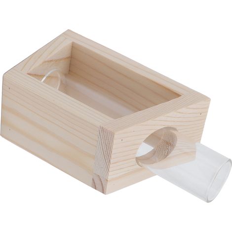 Vase en Verre pour Hydroponie avec Support en Bois - Récipient pour Plantes de Bureau (1/5)
