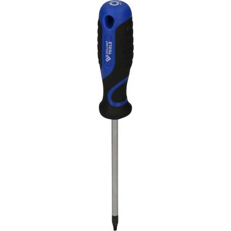 Brilliant Tools Tournevis TORX, T15 (1/5)