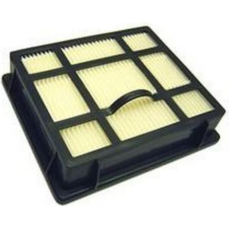 Filtre Hepa (143674-52824) (1924992207) Aspirateur AEG, ELECTROLUX,
