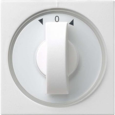 GIRA 066627 PLAQUE DE COMMUTATION ET OBTURATEUR