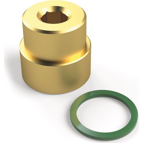 Kemper Adapter Feingewinde auf Zollgewinde für Frosti 573/575 DN 15 1998-1999, P31055750501500