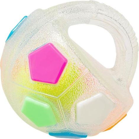 Chien jouant avec une balle, jeu de balle avec une poignée - (1/5)