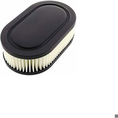 Filtre A Air - Pour Moteurs Briggs Stratton Serie 550E 575EX 625EXI 675IS - Remplace 594106 798339 798452 593260 - Lot De 2 (1/5)