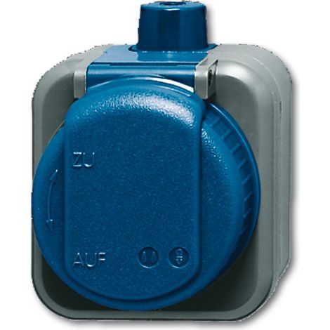 Busch-Jaeger 2083-0-0343 toma de corriente CEE 7/3 Azul, Gris (1/2)