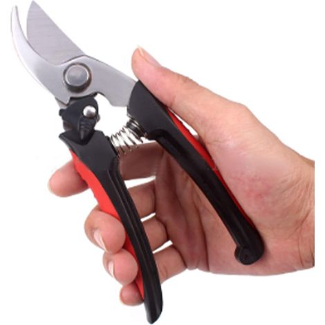 2 Pièces Sécateur De Jardin, économie De Travail Arbre Fruitier Branche épaisse Sécateur Ciseaux De Jardinage Outils pour la Coupe des Arbres Bonsaï Coupe Fruits Cueillette (1/5)