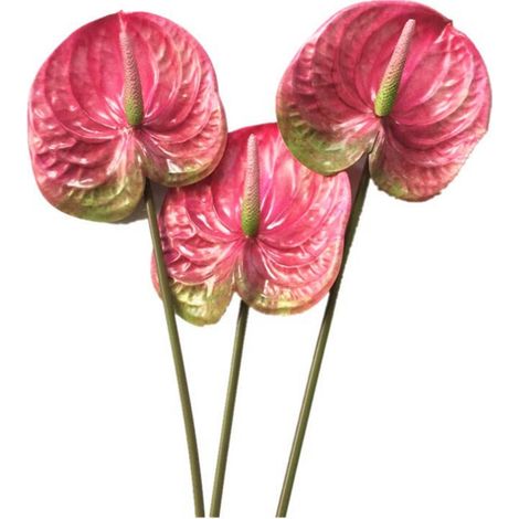 Un fiore di anthurium artificiale da 22,8 pollici, adatto per bouquet decorativi, fogliame e decorazioni nuziali (rosa). (1/4)