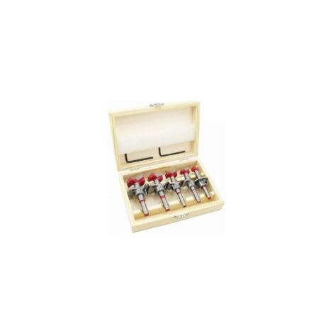 Holzbohrer-Set, 5-teilig (15–35 mm), verstellbare Positionierbohrer für gefrästes Holz, Hartmetall-Lochsäge mit Tiefenanschlag (Tiefenbereich 10–40 mm) – Crezuo (1/4)