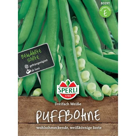 Sperli – Fève Dreifach Weiße – Graines de légumes, variété à graines blanches, pour env. 30 plantes (1/2)