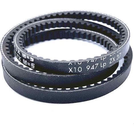 Courroie type trapézoïdale crantée ZX37
