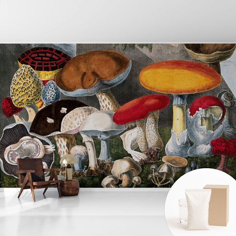 Papier peint intissé mural avec imprimé motifs décoratifs - style contemporain - Colle incluse gratuite Champignons botaniques 416x254 cm (1/5)