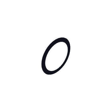 Hansgrohe HG sealing ring DN20, 97752000 (1/2)