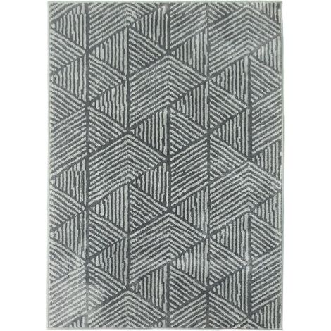 Tapis de salon moderne 170 x 120 cm gris foncé, lavable en machine (1/5)