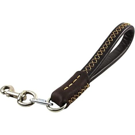 Laisse Courte en Cuir pour Chien,35cm Laisse Poignée Courte Chien Marcher avec Poignée Rembourrée et 360 ° Mousqueton Rotatif pour Chiens de Moyenne et Grande Taille(Largeur 2cm) (1/5)