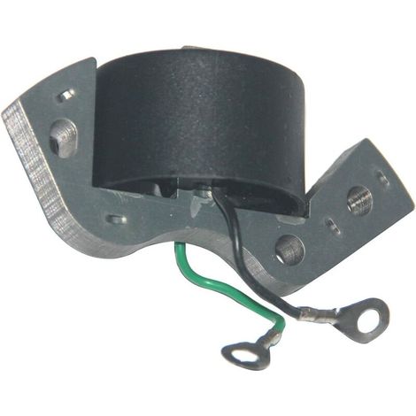 Bobina di accensione per motore fuoribordo Johnson Evinrude 0582995 0584477 0580416 0582370 0582931 0580971 OMC 584477 580118 580197 580416 582370 582921 582995 Lawn-Boy 580184 582463 580198 582396 (1/3)