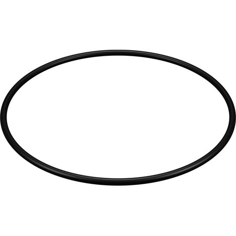 Joint de couvercle pour filtre Hayward ® Star Clear Plus (1/3)