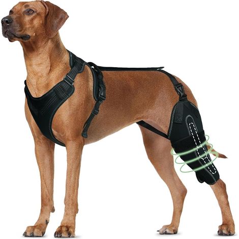 1 attelle pour genou et patte arrière de chien, orthèse de soutien ajustable, pour déchirures, luxation rotulienne, dysplasie de la hanche et arthrite canine (1/5)