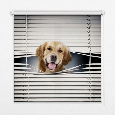 Tenda a Rullo Interna per Finestra - Tenda Filtrante Luce - Tenda Privacy - Tenda Decorativa Rettangolare - Rullo per Interni - (90 cm x 180 cm) - Cane d'oro (1/5)
