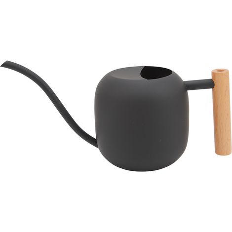 Arrosoir 1200ML à Long Bec pour Plantes d'Intérieur et d'Extérieur, Grande Capacité Noir (1/5)