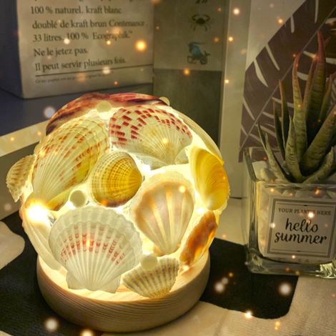 Veilleuse en forme de coquillage sous verre pour la chambrebricolageArtisanat, décoration de chambre (1/5)