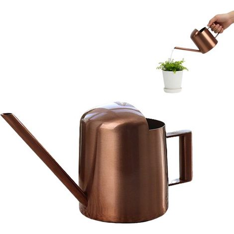 Arrosoir en acier inoxydable, arrosoir de jardin, mini arrosoir à long bec, 300 ml, pour plantes d'intérieur et de jardin, outil de jardinage pour l'arrosage (1/5)