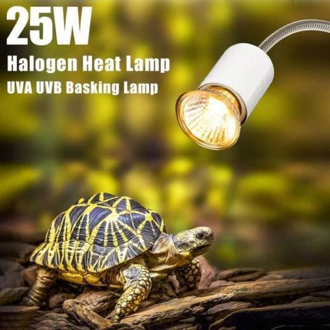 25W Chaleur Lampe UVA UVB Lampe De Réchauffement Ampoule De Chauffage, pour Reptiles Lézard Tortue Aquarium (Ampoule 3) (1/4)