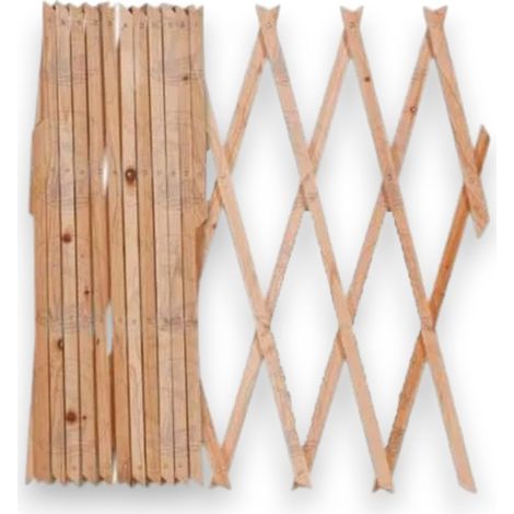 Traliccio estensibile 120xH180 cm da interno in legno impregnato per terrazze e balconi (1/5)