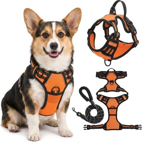 KLVGTIFS PU - Harnais Chien Arnais Orange Anti Traction Réfléchissant Gilet Réglable pour Chien Taille S Attache Devant Crochet de Laisse (1.2M) (1/5)