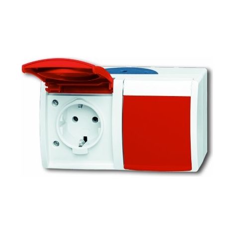 Busch-Jaeger Double prise SCHUKO® avec champ d'inscription avec couvercle à charnière 16 A gris/bleu-vert/rouge - ocean® (20/2 EW/DVN-53), 2CKA002084A0700 (1/4)