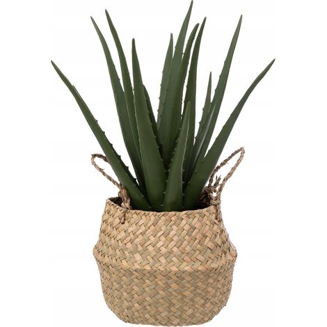 Pianta Artificiale Aloe Vera (1/3)