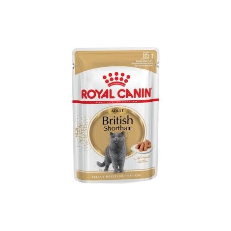 Royal Canin British Shorthair - Comida húmeda para gatos británicos, 12 x 85 g (1/5)