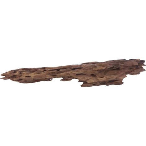 XL Honey Comb Wurzel Nr.3056 Holz Deko Aquascaping