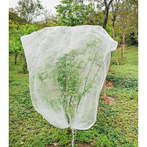 Filet AntiOiseaux pour Arbres Fruitier 1,8x1,8 m Cordon de Serrage, Polyester Durable pour Protéger les Fruits