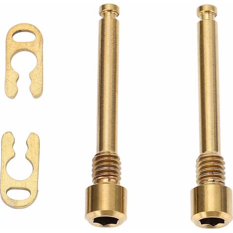 Lot de 2 vis de fixation pour plaquettes de frein à disque de vélo, en alliage de titane, avec circlips, pour VTT XT, couleur or. (1/5)