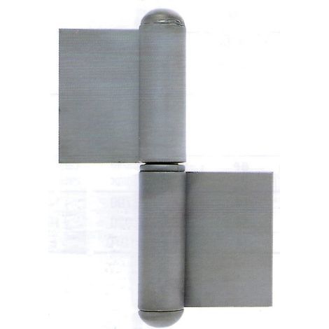 1CF SC FISCE FERRO COMPLETI DI RONDELLE MM. 60 SINISTRA (PZ.2) (1/2)