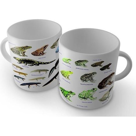 Tazza - Solitone anfibio