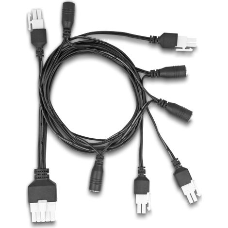 Delock Cable Mini-Fit 4,2 mm 10 pines macho a 4 x DC 5,5 x 2,5 mm hembra y 4 x Mini-Fit 4,2 mm 2 pines macho 1 m negro