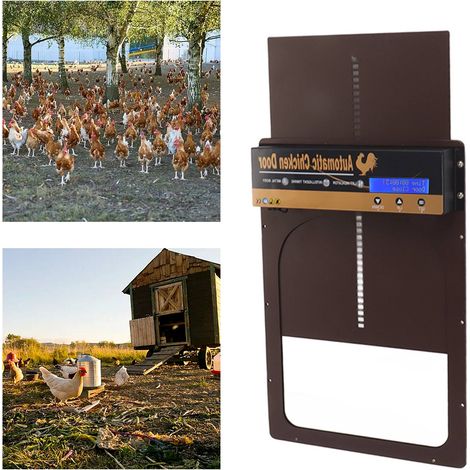 Minuteur solaire en métal pour porte de poulailler, réglage du minuteur de porte de nid à poules, porte automatique pour fermes, couleur café. (1/5)